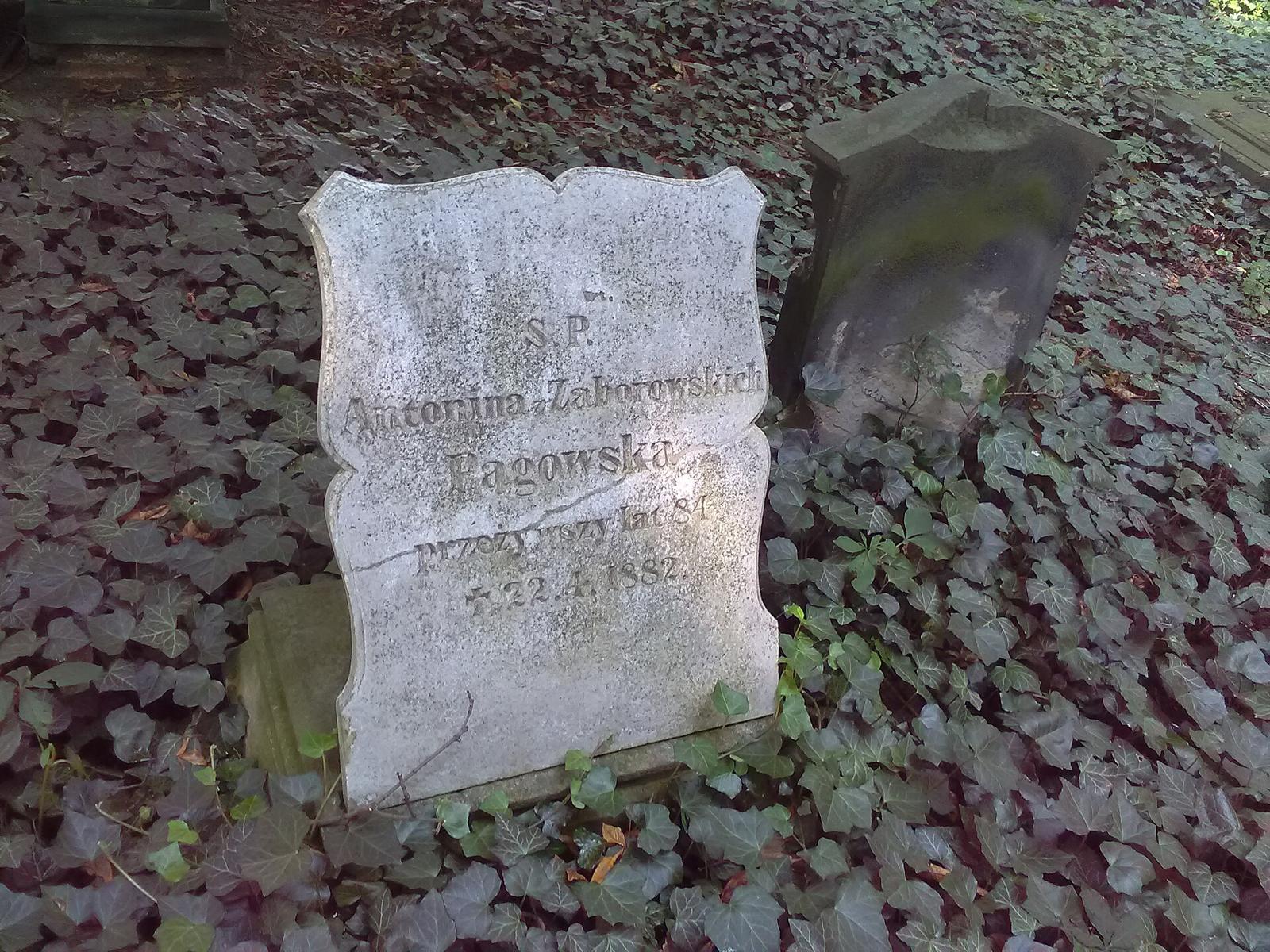 Zabytkowy nagrobek na Cmentarzu Zasłużonych Wielkopolan